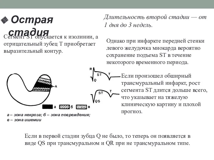 Длительность второй стадии — от 1 дня до 3 недель.