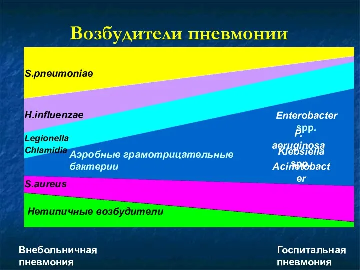 Внебольничная пневмония Госпитальная пневмония S.pneumoniae H.influenzae Legionella Chlamidia Аэробные грамотрицательные