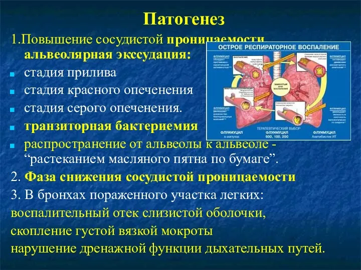 Патогенез 1.Повышение сосудистой проницаемости, альвеолярная экссудация: стадия прилива стадия красного