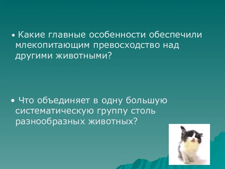 Какие главные особенности обеспечили млекопитающим превосходство над другими животными? Что