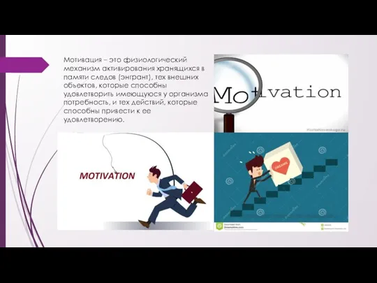 Мотивация – это физиологический механизм активирования хранящихся в памяти следов