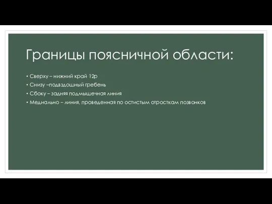 Границы поясничной области: Сверху – нижний край 12р Снизу –подвздошный гребень Сбоку –