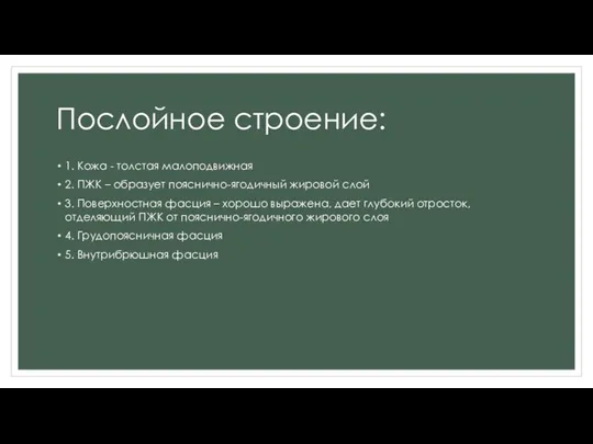 Послойное строение: 1. Кожа - толстая малоподвижная 2. ПЖК – образует пояснично-ягодичный жировой