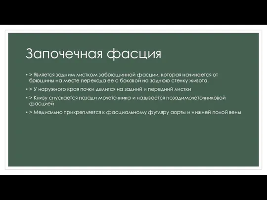 Започечная фасция > Является задним листком забрюшинной фасции, которая начинается от брюшины на