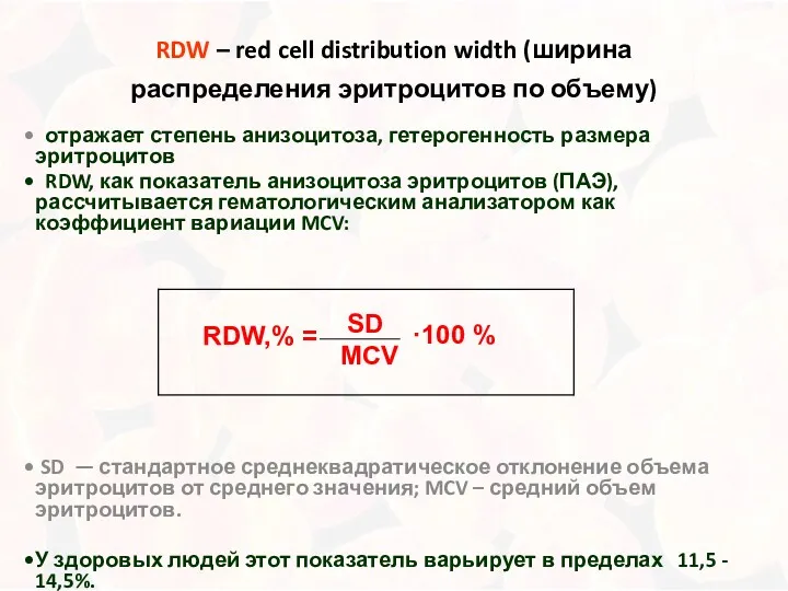 RDW – red cell distribution width (ширина распределения эритроцитов по