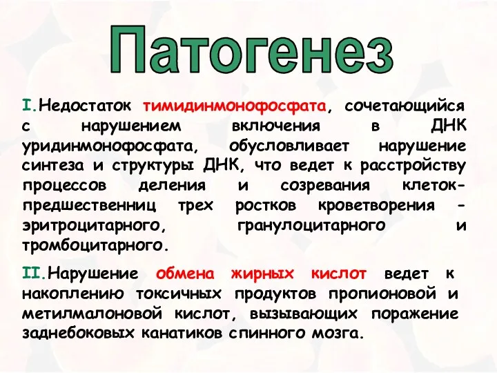 Патогенез I.Недостаток тимидинмонофосфата, сочетающийся с нарушением включения в ДНК уридинмонофосфата,