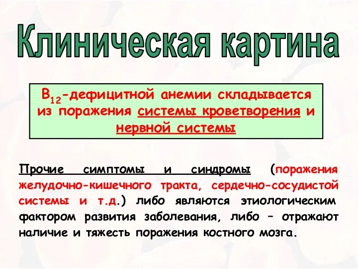 Клиническая картина В12-дефицитной анемии складывается из поражения системы кроветворения и