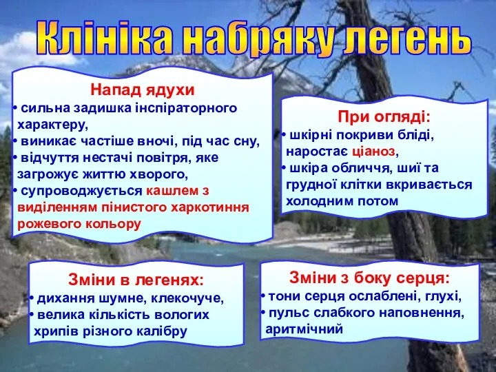 Клініка набряку легень Напад ядухи сильна задишка інспіраторного характеру, виникає