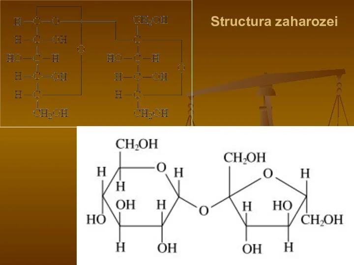 Structura zaharozei