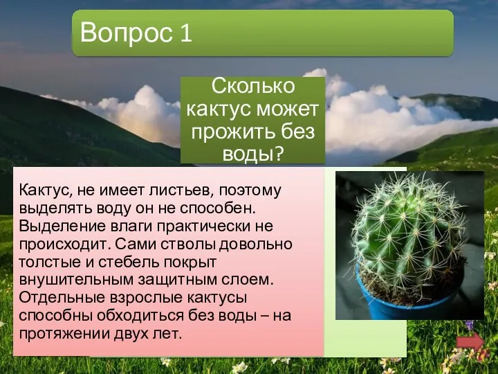 Вопрос 1 Сколько кактус может прожить без воды? Б. 2