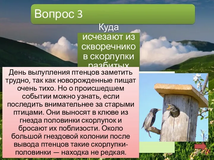 Вопрос 3 Куда исчезают из скворечников скорлупки разбитых яиц? Б.