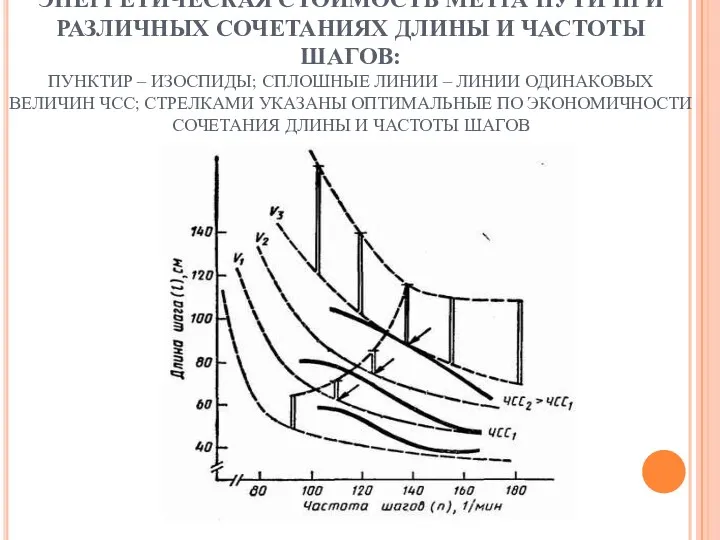 ЭНЕРГЕТИЧЕСКАЯ СТОИМОСТЬ МЕТРА ПУТИ ПРИ РАЗЛИЧНЫХ СОЧЕТАНИЯХ ДЛИНЫ И ЧАСТОТЫ