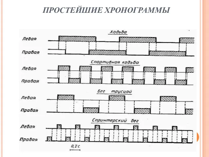 ПРОСТЕЙШИЕ ХРОНОГРАММЫ