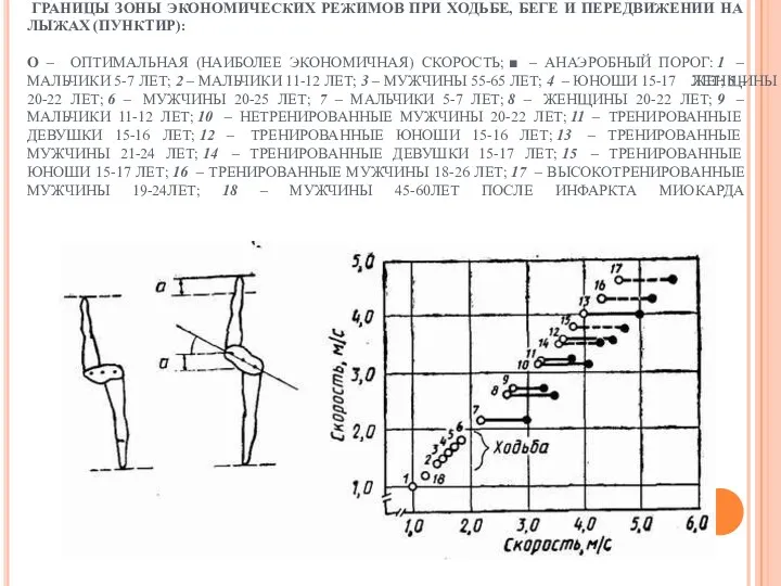 ГРАНИЦЫ ЗОНЫ ЭКОНОМИЧЕСКИХ РЕЖИМОВ ПРИ ХОДЬБЕ, БЕГЕ И ПЕРЕДВИЖЕНИИ НА