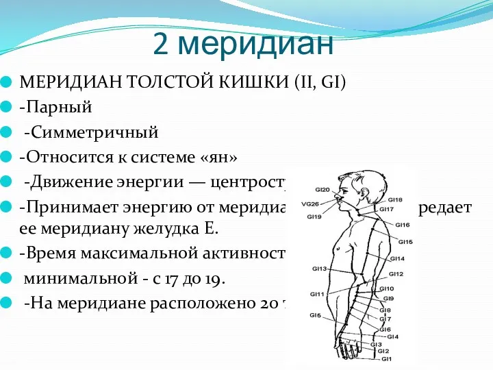 2 меридиан МЕРИДИАН ТОЛСТОЙ КИШКИ (II, GI) -Парный -Симметричный -Относится к системе «ян»