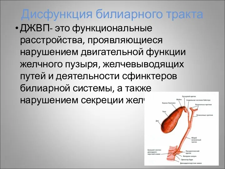 Дисфункция билиарного тракта ДЖВП- это функциональные расстройства, проявляющиеся нарушением двигательной