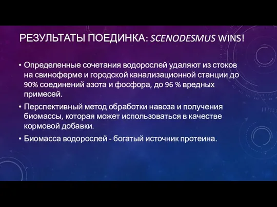 РЕЗУЛЬТАТЫ ПОЕДИНКА: SCENODESMUS WINS! Определенные сочетания водорослей удаляют из стоков