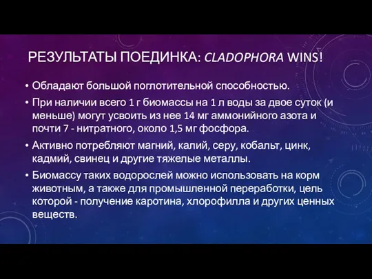 РЕЗУЛЬТАТЫ ПОЕДИНКА: CLADOPHORA WINS! Обладают большой поглотительной способностью. При наличии