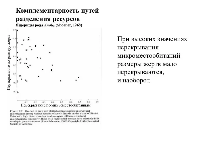 Перекрывание по микроместообитаниям Перекрывание по размеру жертв Комплементарность путей разделения