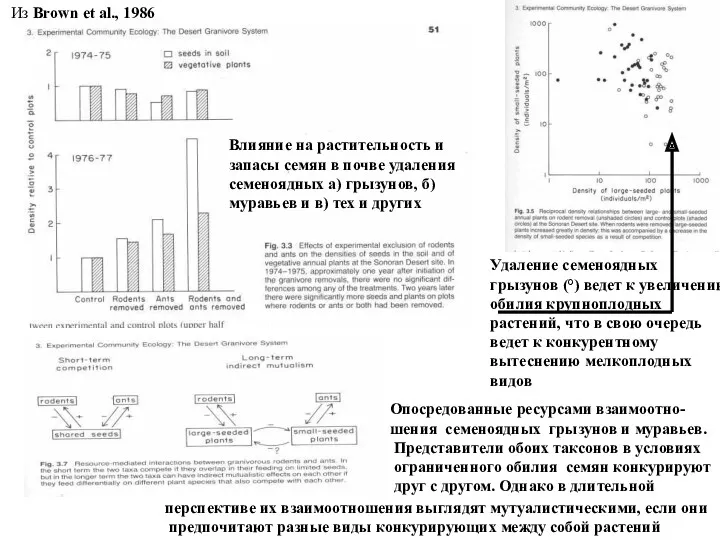 Влияние на растительность и запасы семян в почве удаления семеноядных