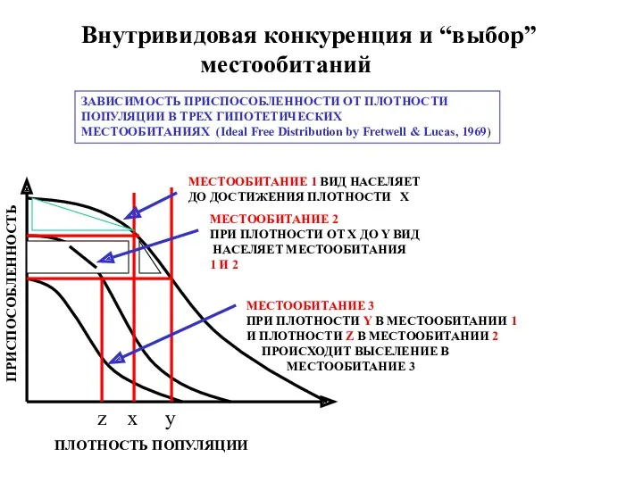 ПЛОТНОСТЬ ПОПУЛЯЦИИ ПРИСПОСОБЛЕННОСТЬ z х y МЕСТООБИТАНИЕ 1 ВИД НАСЕЛЯЕТ