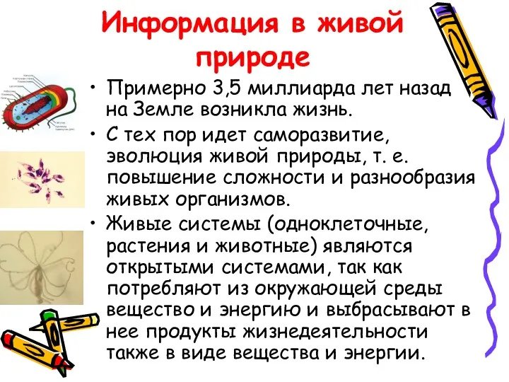 Информация в живой природе Примерно 3,5 миллиарда лет назад на