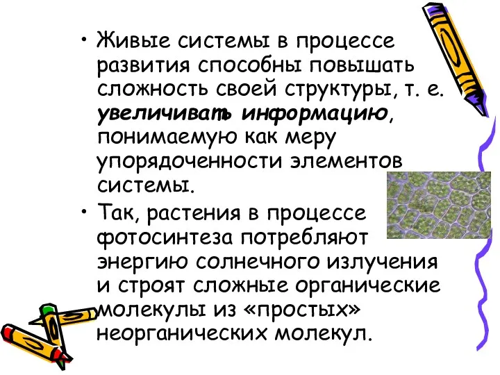 Живые системы в процессе развития способны повышать сложность своей структуры,