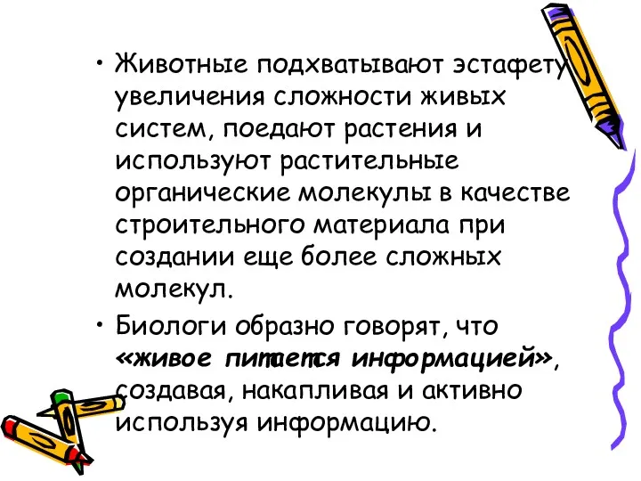 Животные подхватывают эстафету увеличения сложности живых систем, поедают растения и