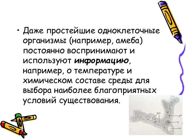 Даже простейшие одноклеточные организмы (например, амеба) постоянно воспринимают и используют