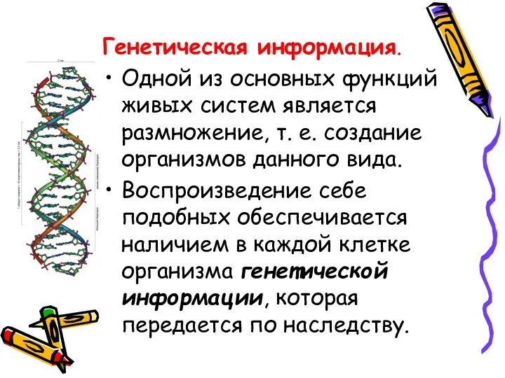 Генетическая информация. Одной из основных функций живых систем является размножение,