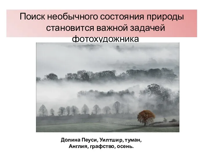 Поиск необычного состояния природы становится важной задачей фотохудожника Долина Пеуси, Уилтшир, туман, Англия, графство, осень.