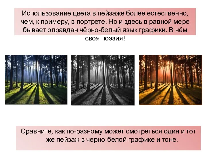 Сравните, как по-разному может смотреться один и тот же пейзаж