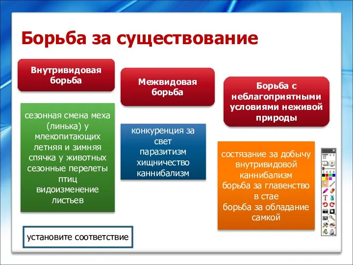 Борьба за существование Внутривидовая борьба Межвидовая борьба Борьба с неблагоприятными