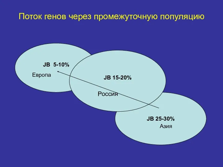 Поток генов через промежуточную популяцию JB 5-10% JB 25-30% JB 15-20% Европа Россия Азия