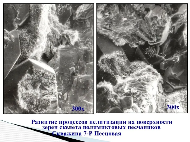 Развитие процессов пелитизации на поверхности зерен скелета полимиктовых песчаников Скважина 7-Р Песцовая 300х 300х