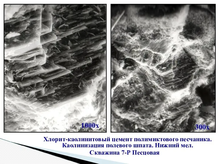 Хлорит-каолинитовый цемент полимиктового песчаника. Каолинизация полевого шпата. Нижний мел. Скважина 7-Р Песцовая 1000х 300х