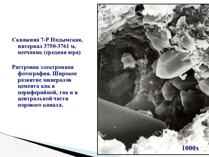 Скважина 7-Р Надымская, интервал 3750-3761 м, песчаник (средняя юра) Растровая электронная фотография. Широкое