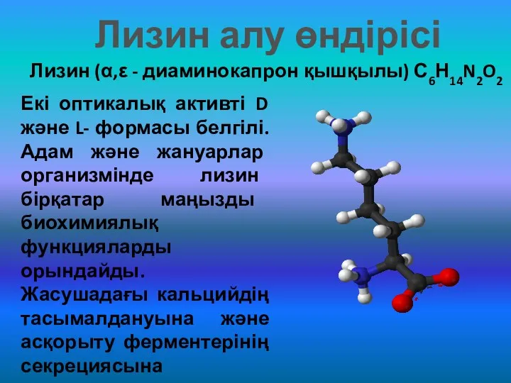 Лизин алу өндірісі Лизин (α,ε - диаминокапрон қышқылы) С6Н14N2O2 Екі оптикалық активті D