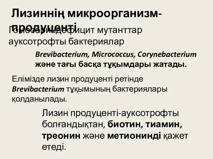 Лизиннің микроорганизм-продуценті Гомосериндефицит мутанттар ауксотрофты бактериялар Brevibacterium, Micrococcus, Corynebacterium және тағы басқа тұқымдары