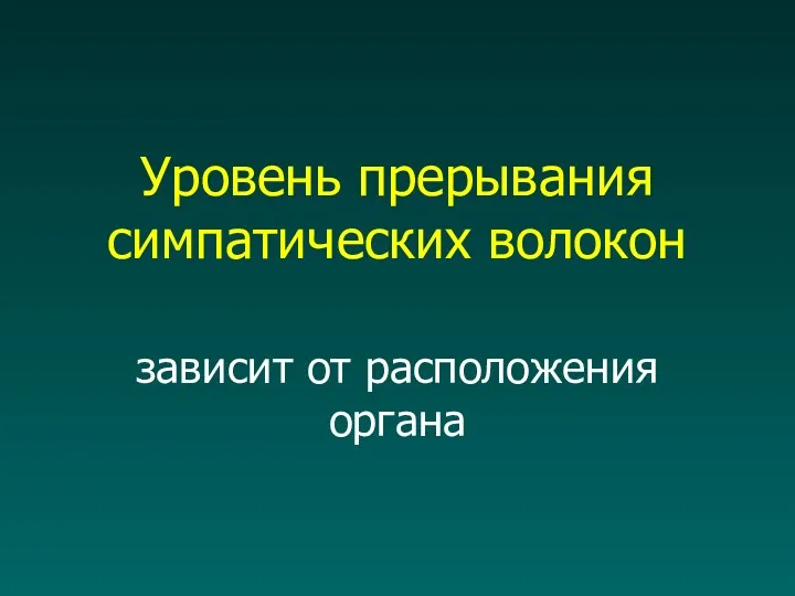 Уровень прерывания симпатических волокон зависит от расположения органа