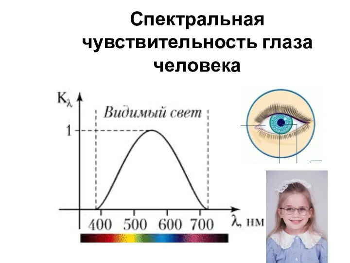 Спектральная чувствительность глаза человека