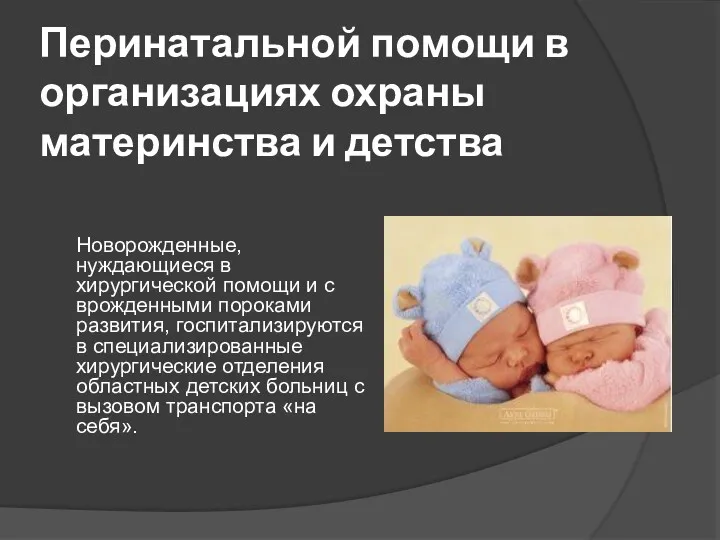 2. Уровни и объем Перинатальной помощи в организациях охраны материнства