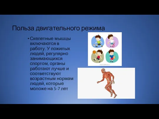 Польза двигательного режима Скелетные мышцы включаются в работу. У пожилых