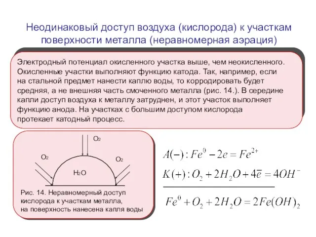 Электродный потенциал окисленного участка выше, чем неокисленного. Окисленные участки выполняют