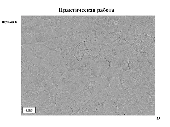 Практическая работа Вариант 8 10 мкм