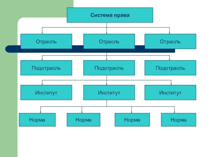 Система права Отрасль Отрасль Отрасль Институт Институт Институт Подотрасль Подотрасль Подотрасль Норма Норма Норма Норма