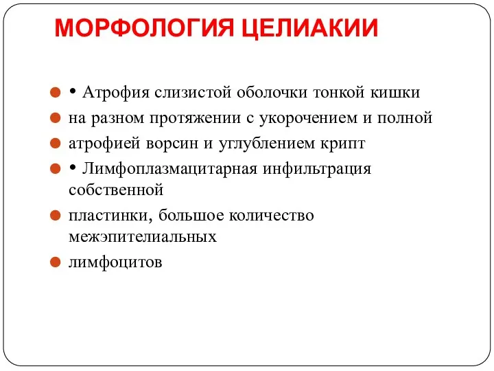 МОРФОЛОГИЯ ЦЕЛИАКИИ • Атрофия слизистой оболочки тонкой кишки на разном