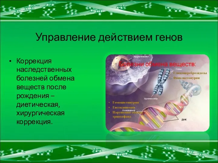 Управление действием генов Коррекция наследственных болезней обмена веществ после рождения – диетическая, хирургическая коррекция.