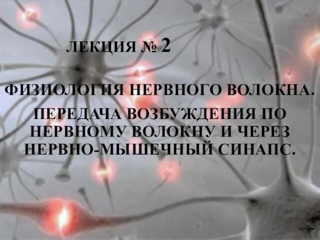 Физиология нервного волокна. Лекция № 2. Передача возбуждения по нервному волокну и через нервно-мышечный синапс