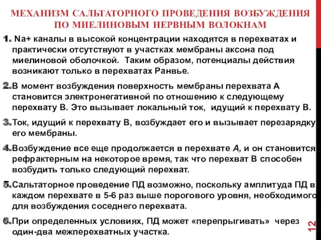 МЕХАНИЗМ САЛЬТАТОРНОГО ПРОВЕДЕНИЯ ВОЗБУЖДЕНИЯ ПО МИЕЛИНОВЫМ НЕРВНЫМ ВОЛОКНАМ Na+ каналы